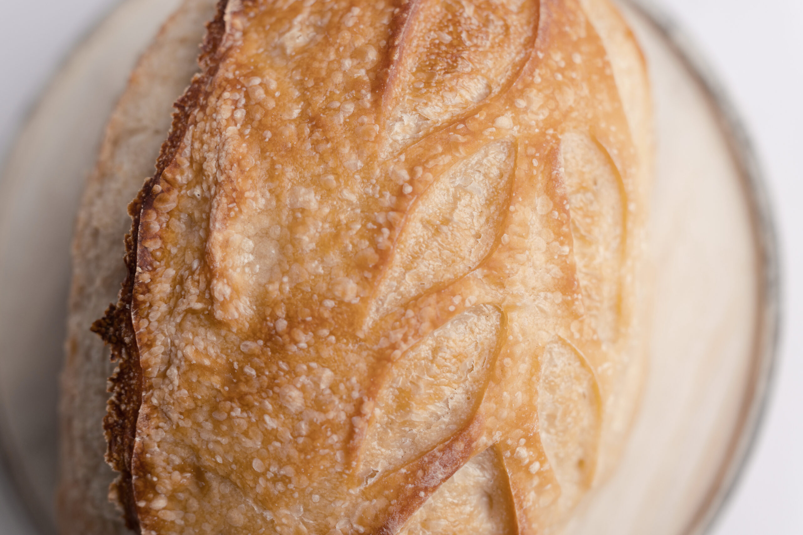 Sourdough_bread