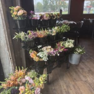 Stem Bar Certificate