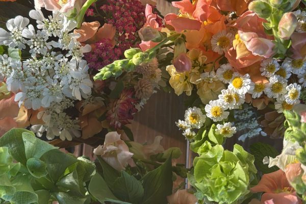 51562A35-DA48-45A5-B2AB-21AD8887F5BE