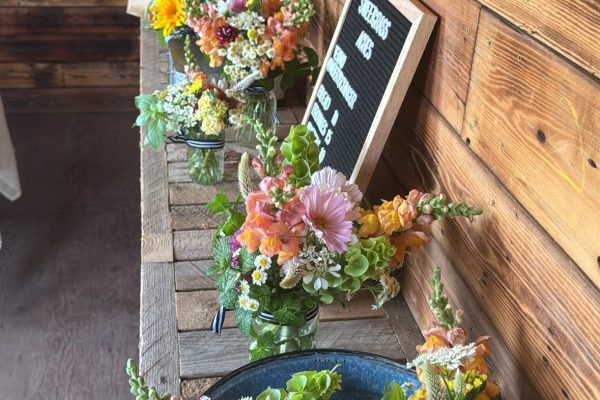 549C9EC4-E9A7-4B68-BF51-C2D206CEB27D 2