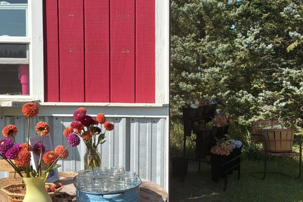 8EED5712-953F-4B9F-AB51-4D68249E1034