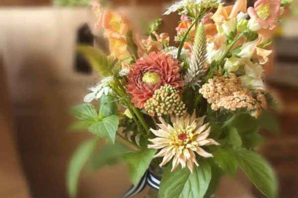 {"eId":"208681691022343","CameraPosition":1}