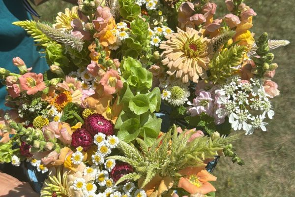 E60FE9F8-F147-469A-8B52-56BC7AA1771C 2