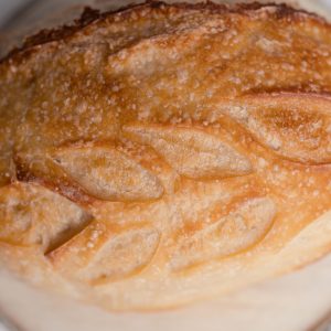 Sweet_grass_acres-0129